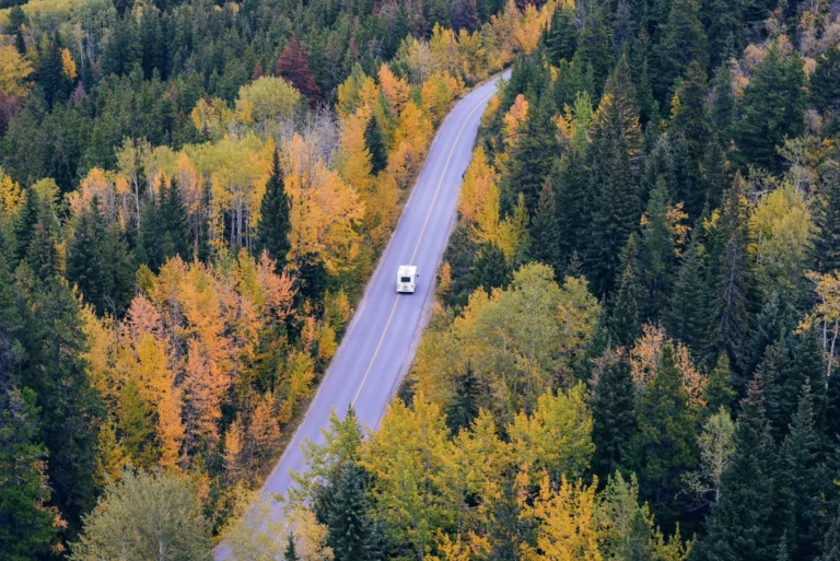 Camper van on tree-lined road